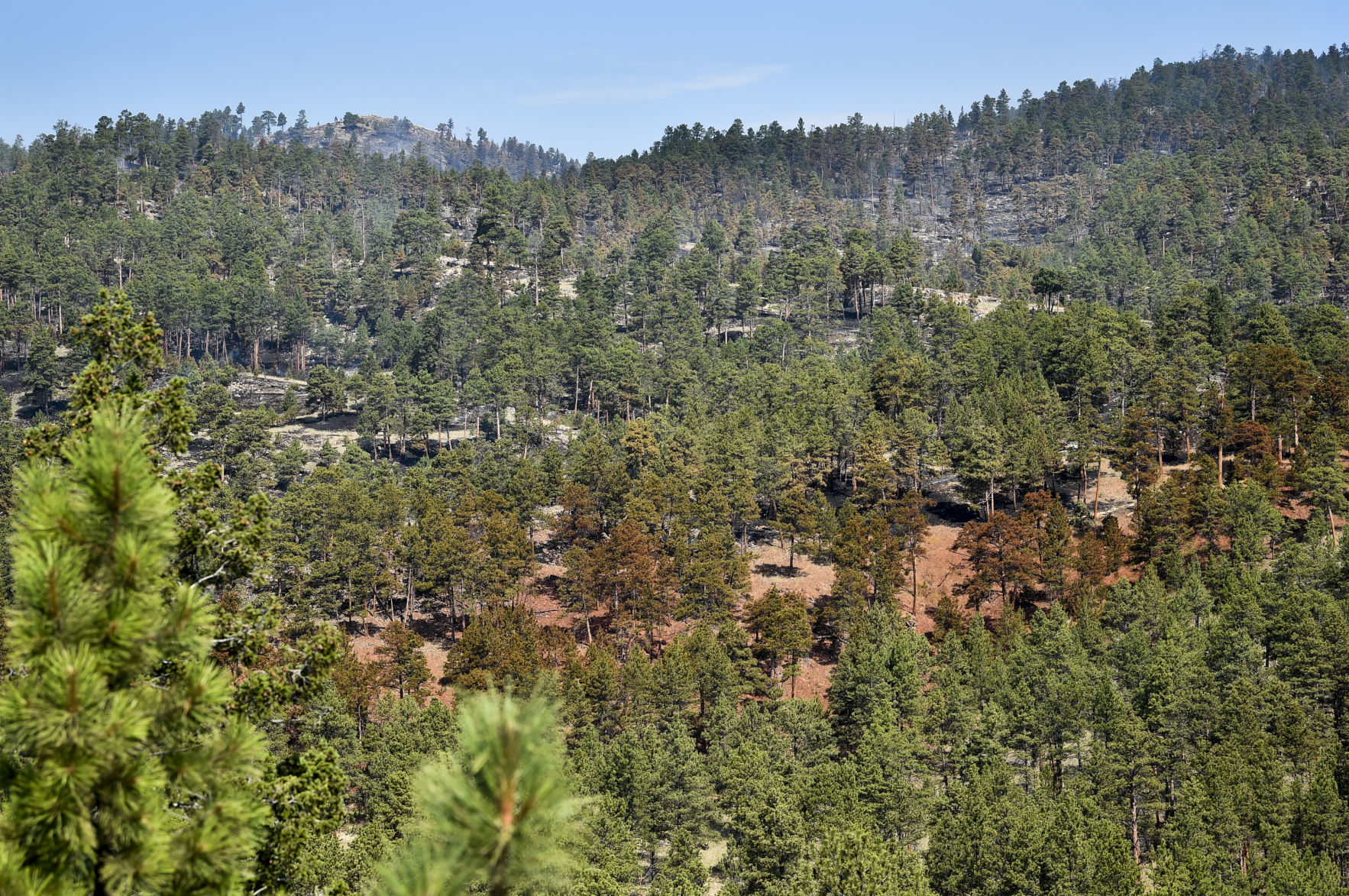 A line of fire retardant